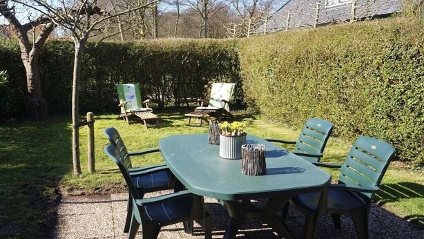 Un espace extérieur aménagé avec une table et des chaises, entouré d’une haie et d’un arbre.