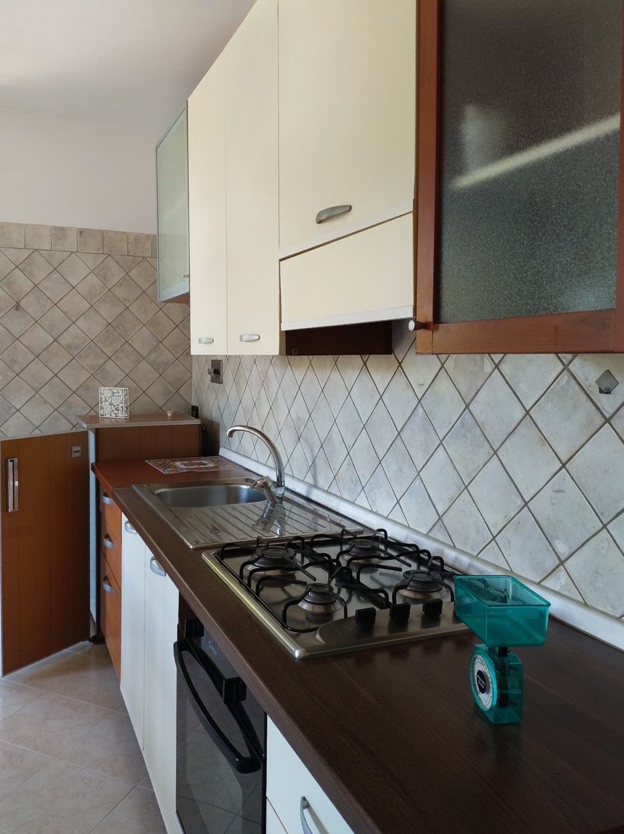 Fridge, oven, stovetop, cookware/dishes/utensils