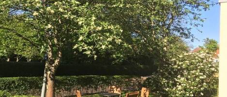 Un patio con mesa y sillas, rodeado de exuberante vegetación y árboles florecientes.