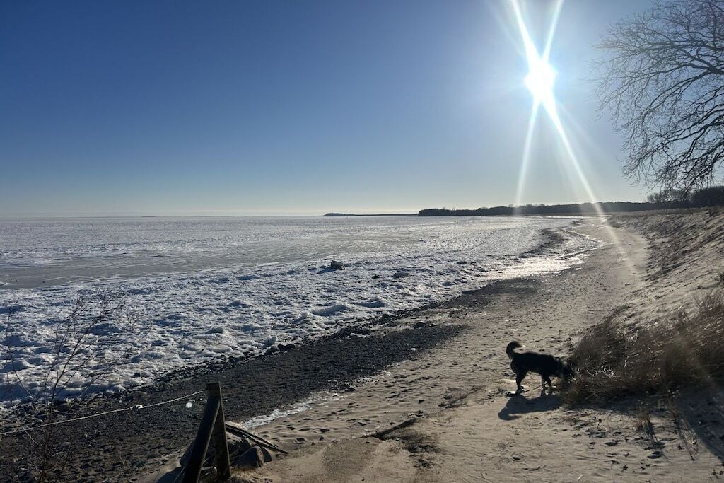 Strand
