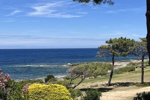 Eine Küstenlandschaft mit freiem Blick auf das Meer, einem Sandweg und spärlicher Vegetation.
