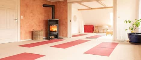 A room with a fireplace, red mats on the floor, a door, and a plant.