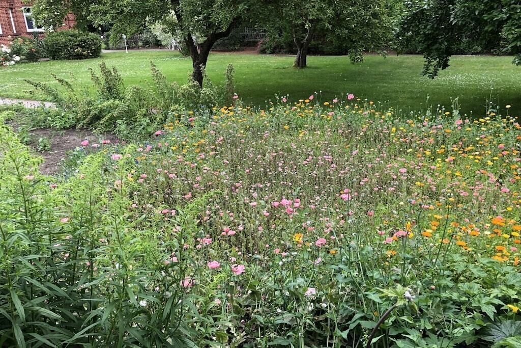 En have med mange blomster og græsplæne.