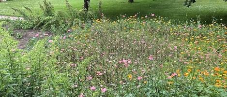 En have med mange blomster og græsplæne.