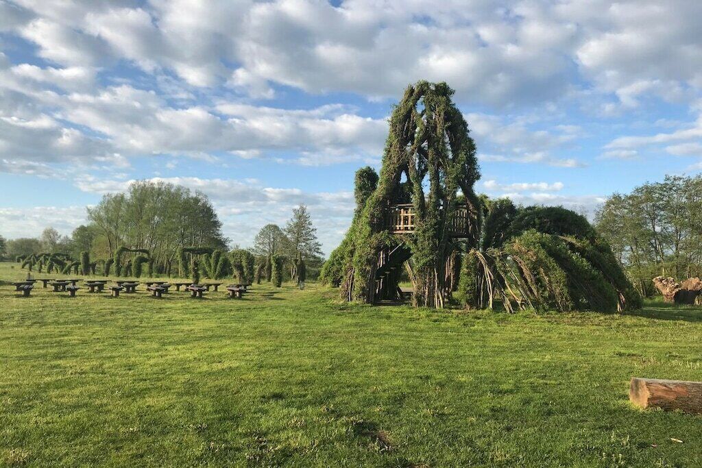 Un champ herbeux avec des tables de pique-nique et un grand arbre surmonté d’une structure.