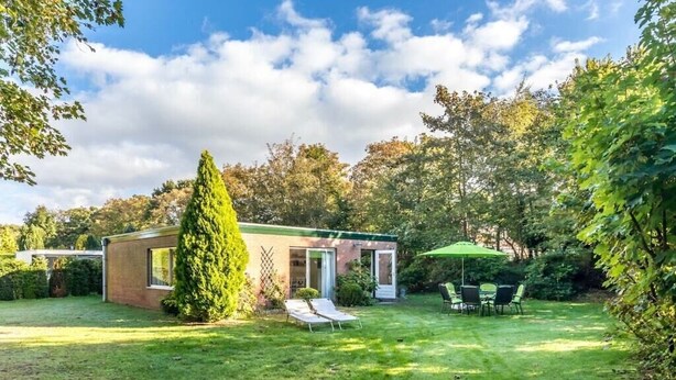 Et lille hus med terrasse, græsplæne og et højt træ.