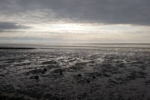 A beach with wet sand and a cloudy sky. - Holiday apartment with 2 bedrooms (Norden-Norddeich)