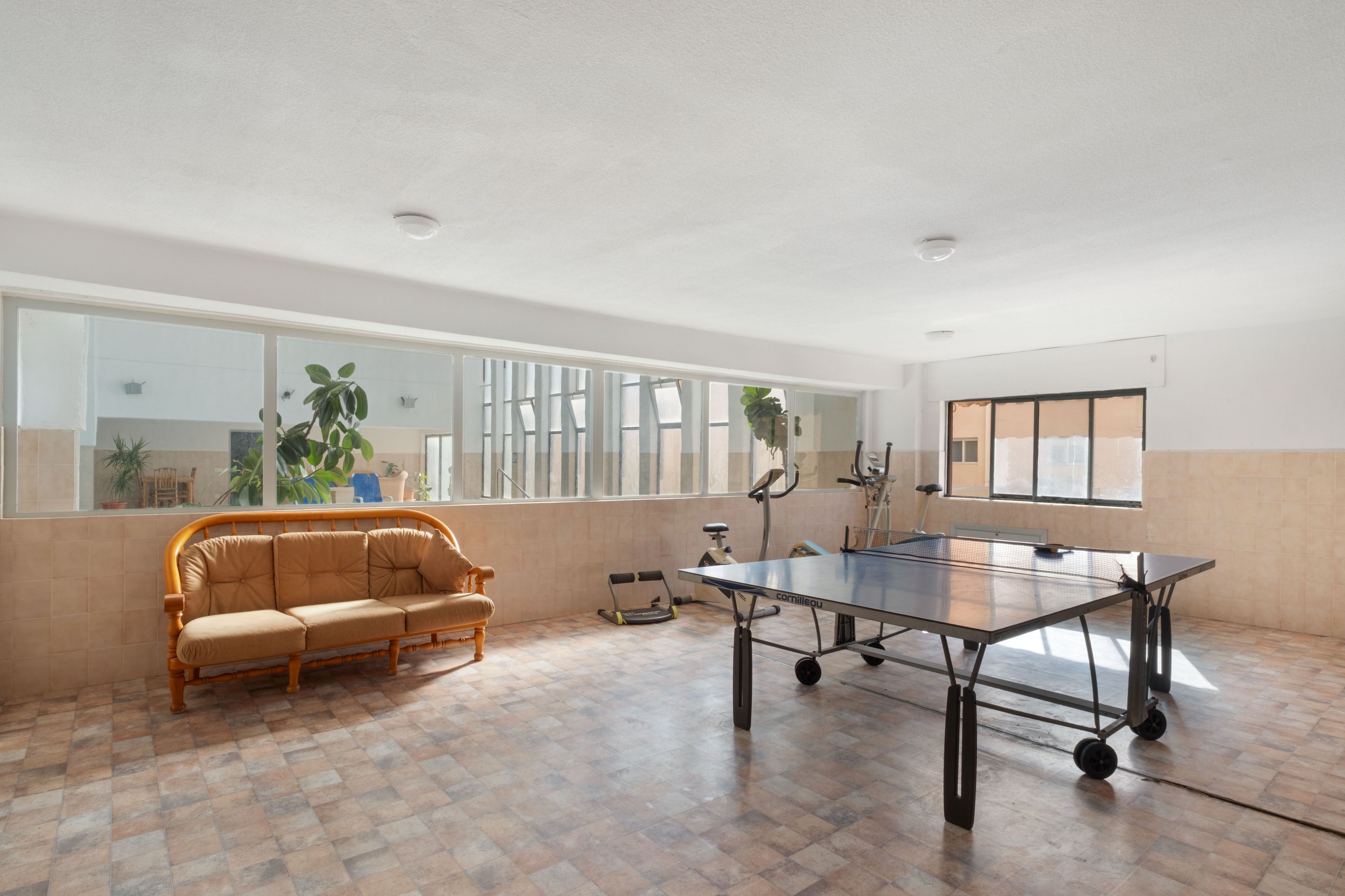 Une pièce spacieuse équipée d’une table de ping-pong, d’un canapé et de matériel d’exercice.
