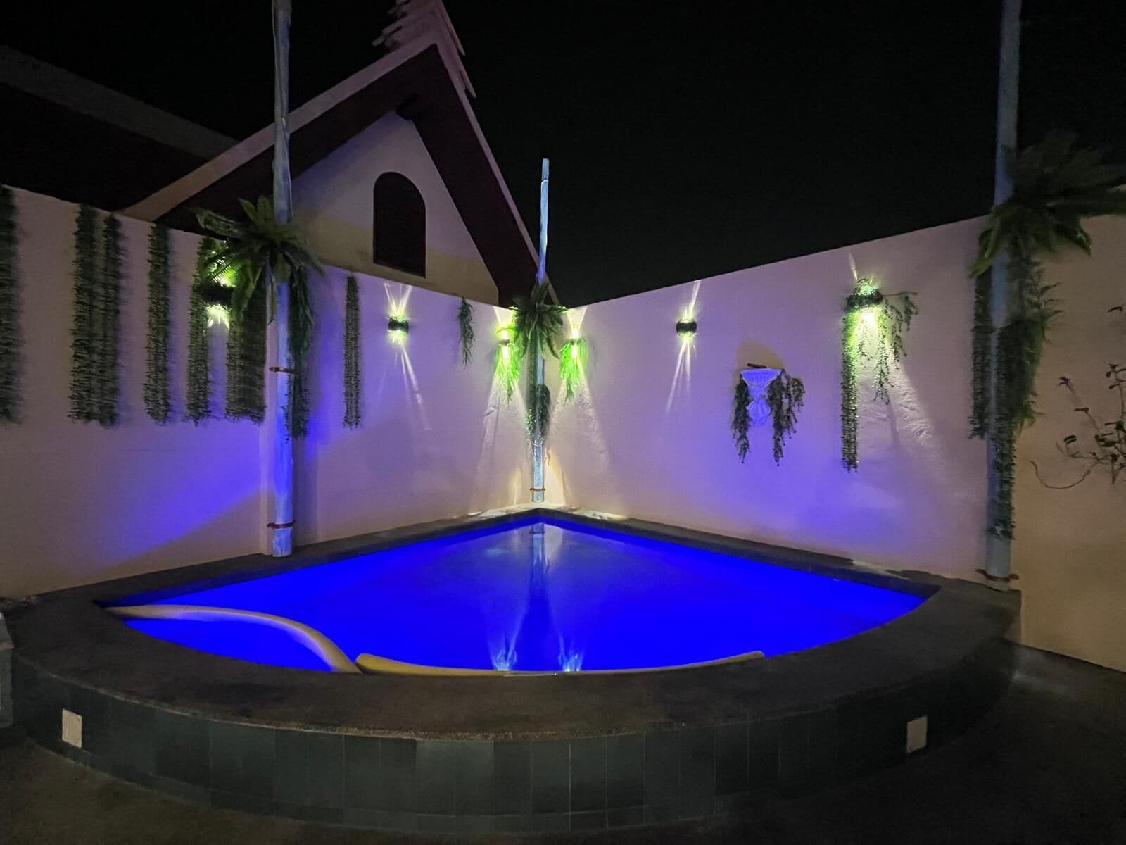 Una piscina con interior iluminado en azul, rodeada de paredes decoradas con plantas colgantes y luces empotradas.