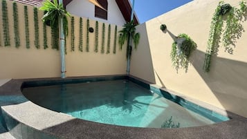 Piscina com borda curva, rodeada por paredes com plantas pendentes.