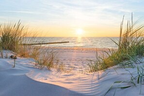 A beach scene with sand, grass, and a body of water. - Villa in Sellin with swimming pool (Sellin)