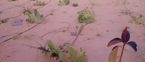 外观细节