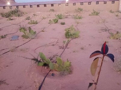 Wadi Rum Peace & Privacy Guesthouse