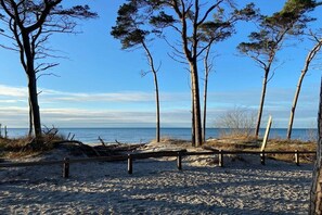 Ein Strand mit Sand, Bäumen und einem Holzzaun.