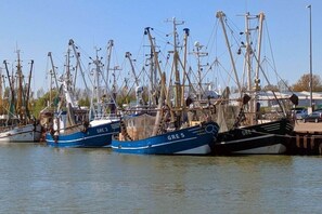 A marina with several fishing boats docked. - Holiday home with 1 bedroom (Wangerland Hooksiel)