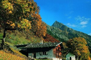 Exterior - Chamois in the country house by the stream (Oberstdorf)