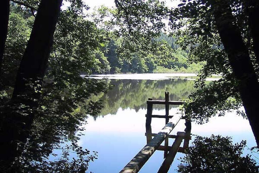 Un muelle de madera se adentra en un lago tranquilo rodeado de árboles frondosos.