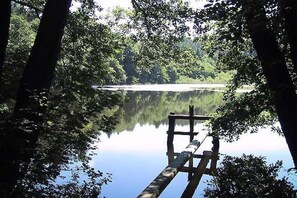 A wooden dock extending into a calm lake surrounded by dense trees. - 1 Buchenheim House Rena (Reifnitz)
