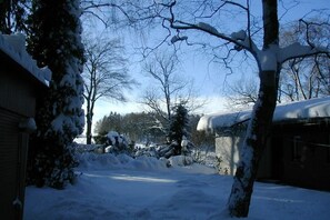A snow-covered residential area with a house, trees, and a fence. - Holiday apartment with 2 bedrooms (Crinitzberg)