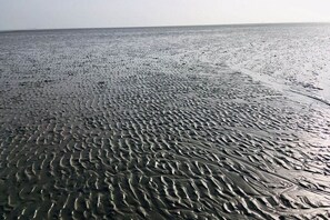 Une plage où l’on peut observer des motifs sur le sable humide, témoignant d’une activité aquatique récente.