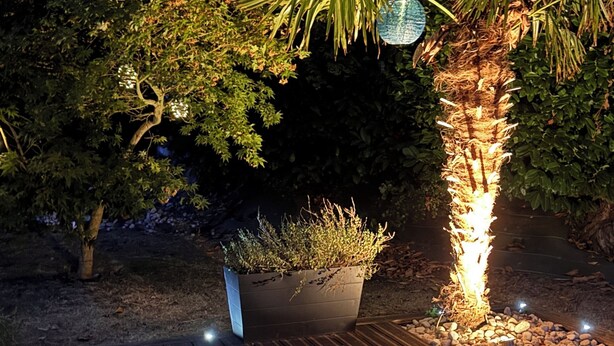 An outdoor fire pit surrounded by a wooden deck, with a planter and a palm tree in the background.