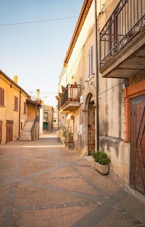 A narrow street with buildings on either side, a stone pavement, and a gate at the end.