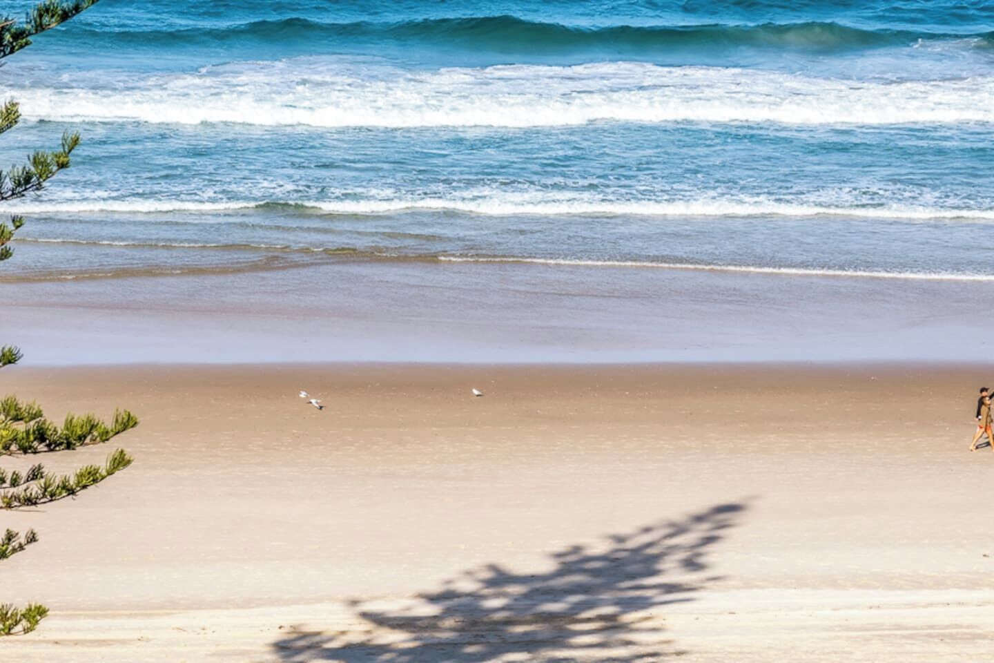 A beach with waves, a sandy shore, and some vegetation.