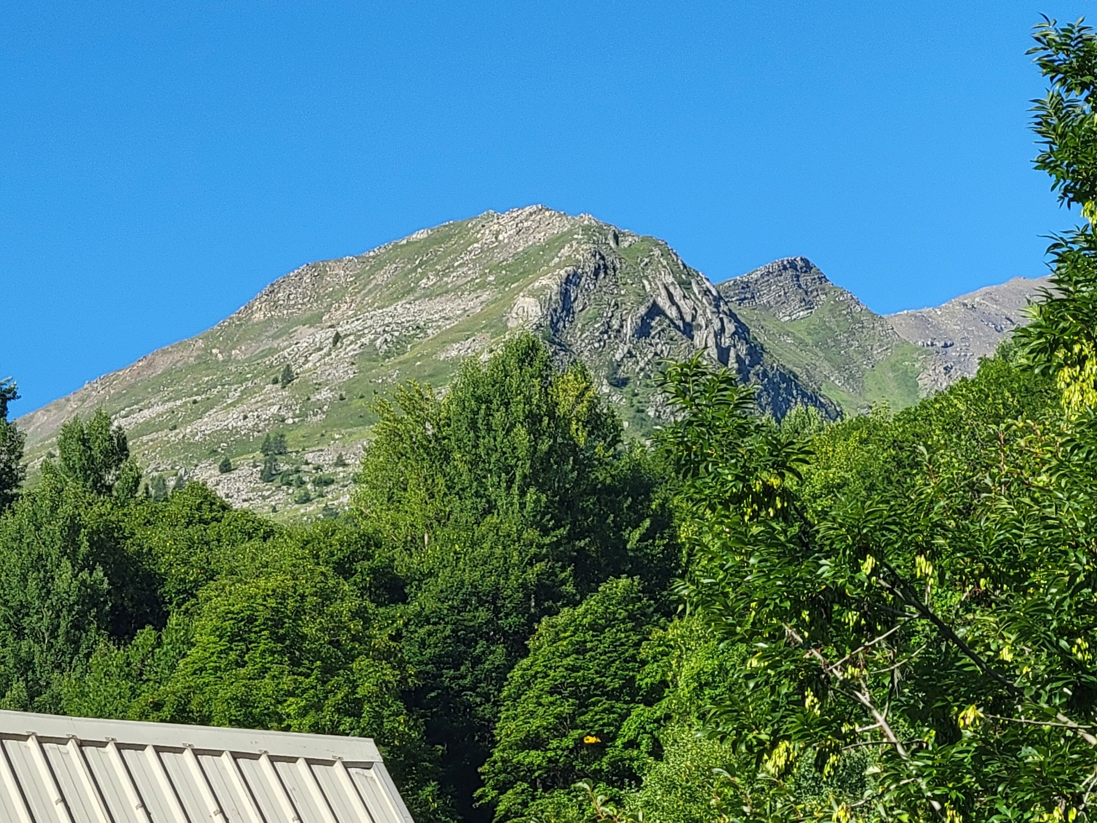A mountain landscape with dense green foliage in the foreground and a rocky mountain in the background.