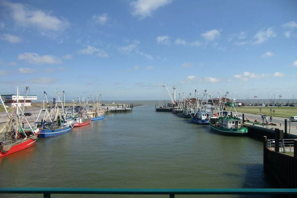 A marina with multiple boats docked, a clear sky, and a calm water body.