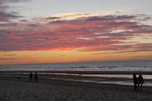 Ein Strandbild mit Menschen und einem Hund, im Hintergrund ein Sonnenuntergang.