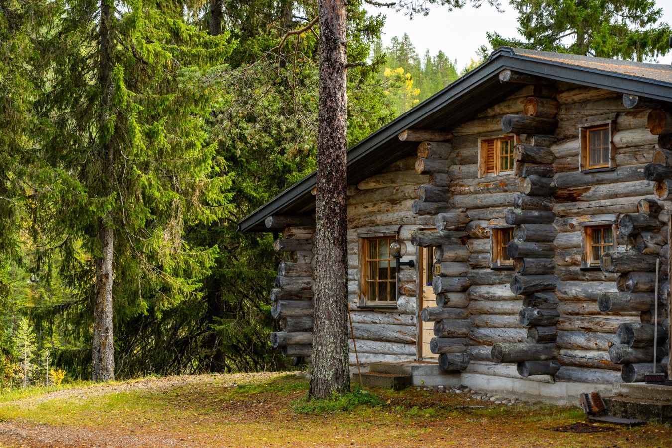 Eine Blockhütte mit Veranda, umgeben von dichtem Wald.