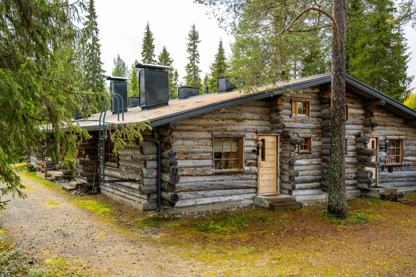 Eksteriør
