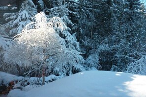A snowy landscape with dense evergreen trees. - Eismann Holiday Home (Auerbach OT Schnarrtanne)