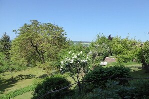 Ein üppiger Garten mit verschiedenen Bäumen und Sträuchern, einem klaren, blauen Himmel und einer weiten Blick auf die Landschaft.