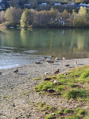 A lakeside view with a pebbled shore, ducks, and a backdrop of houses. - Serrioux House - 4 bedrooms - Sleeps 9–10 - Matheysine - 30 minutes from Grenoble (Cholonge)