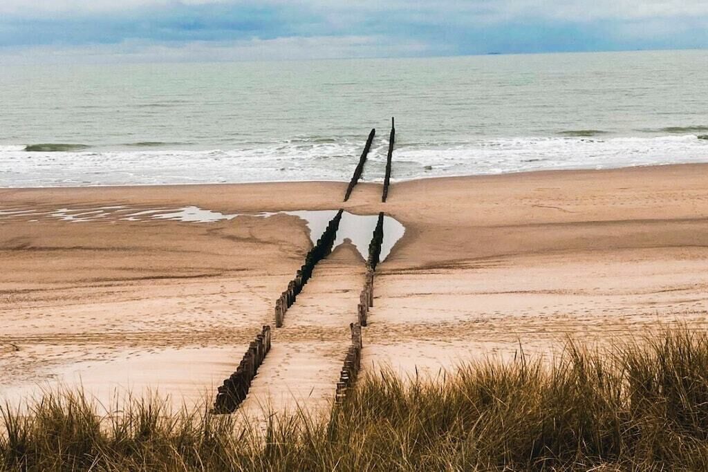 Une plage avec un étroit sentier menant à l’eau, bordée de sable et d’herbe.