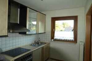 A compact kitchen with a built-in stove, a window with a curtain, and a view of the outside. - Paradise on the city lake (Mölln)