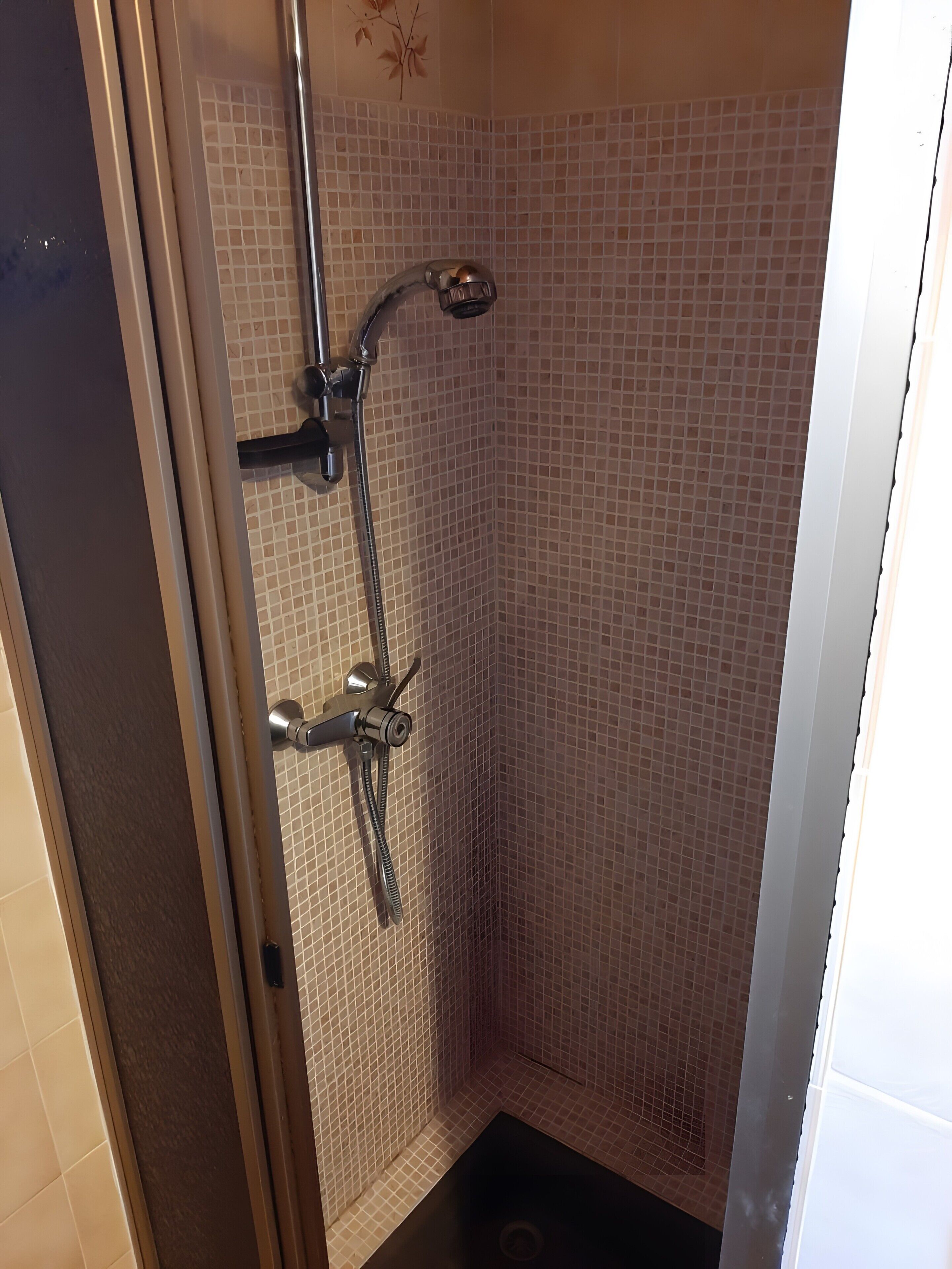Shower, hair dryer