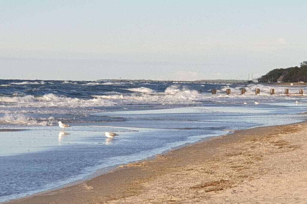 A beach with waves, a pier, and a distant shoreline.
