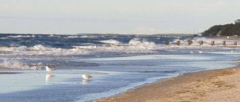 A beach with waves, a pier, and a distant shoreline.