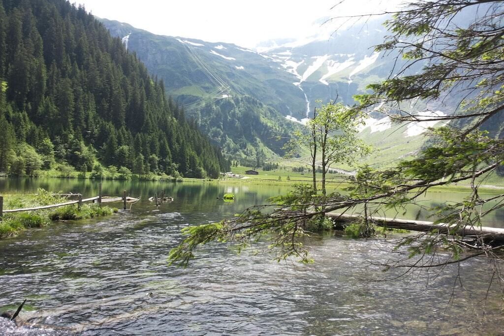 A river with a wooden bridge, surrounded by dense forest and mountains.