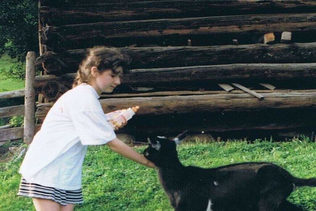 A person feeding a goat in a grassy area with a wooden fence in the background.
