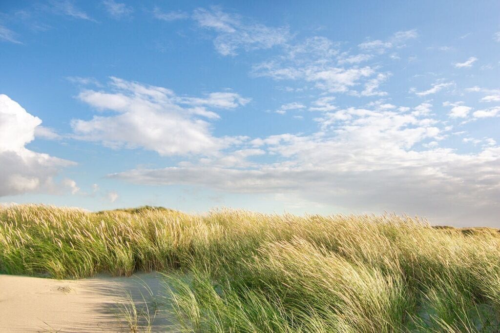 A beach with sand dunes and tall grass under a partly cloudy sky.