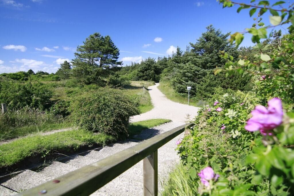 A gravel path leading through a natural landscape with dense greenery and trees.