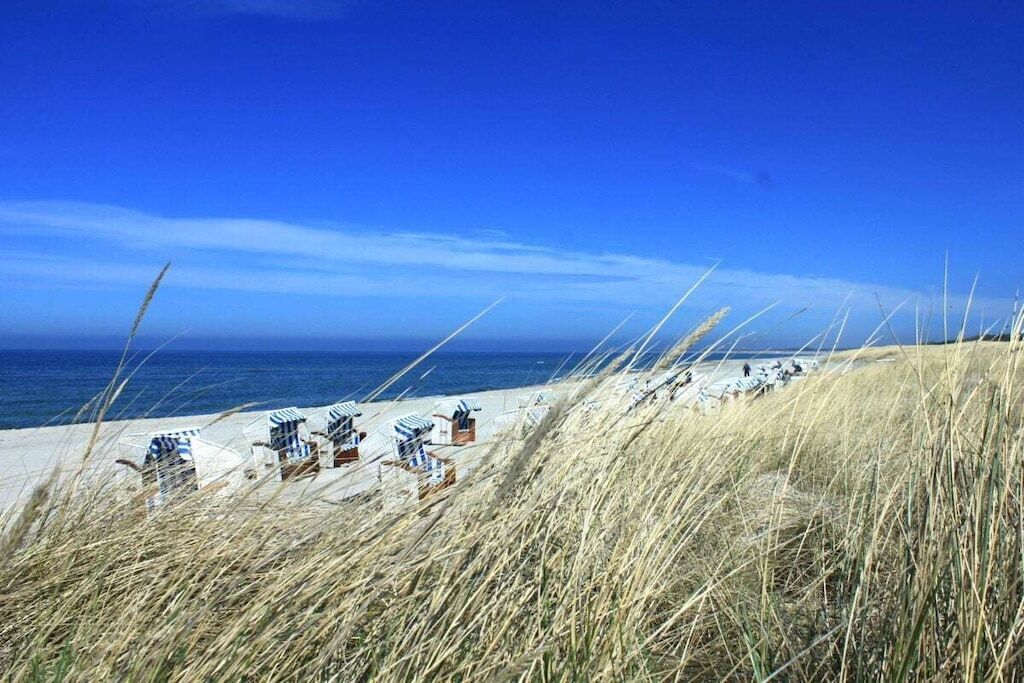A beach with dune chairs and beach huts, overlooking the sea.