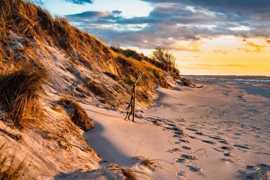 Une plage de sable avec des dunes et un poteau en bois.