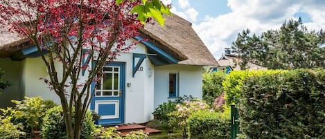 Une maison avec un toit de chaume, une porte bleue et un jardin où poussent différentes plantes, ainsi qu’un arbre aux feuilles rouges.