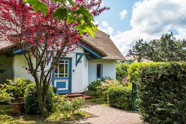 A house with a thatched roof, a blue door, and a garden with various plants and a tree with red leaves.