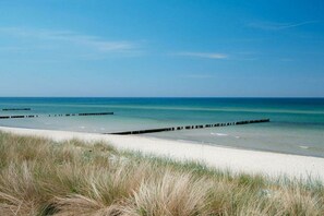 Ein Strand mit blauem Himmel, sandigem Ufer und einem Holzsteg.