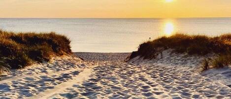 A sandy beach path leading to the ocean with dunes on either side.